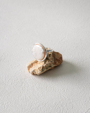 Shell Dome Ring | Natural Fresh Shell