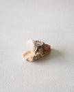 Shell Dome Ring | Natural Fresh Shell