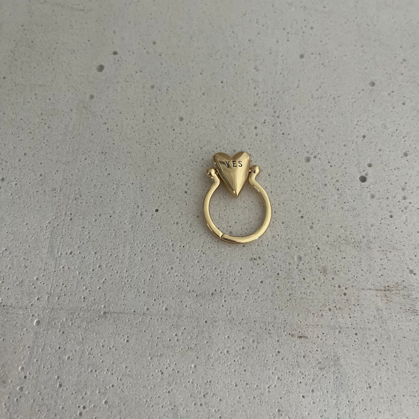 Verto (from Latin, meaning 